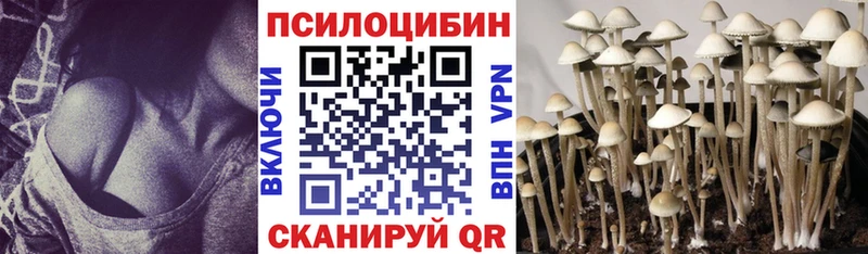 Галлюциногенные грибы Psilocybe  Купить закладки  Жуковский 