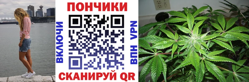 Купить  Жуковский  Конопля Ganja 
